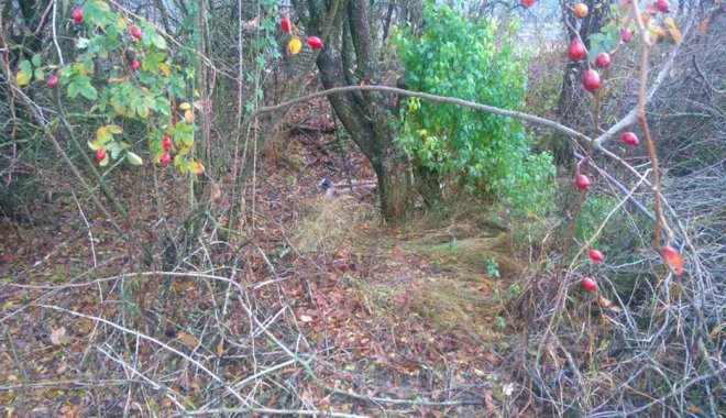 Место убийства. Фото: ГУ НП в Харьковской области