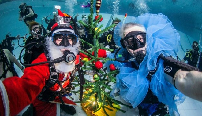 Фото: Школа подводной фотографии Сергея Глущенко