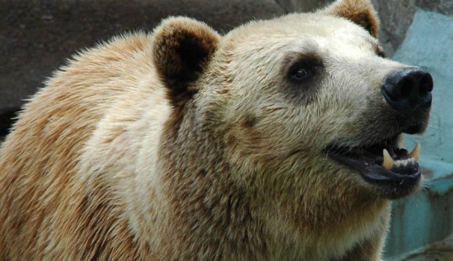 Фото: zoo.kharkov.ua