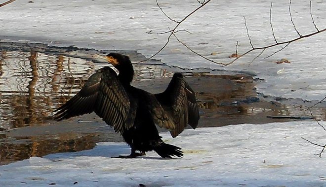 Фото: zoo.kharkov.ua