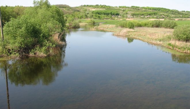 Река Великий Бурлук. Фото: Panoramio