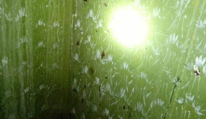 Парень погиб на месте. Фото: ГУНП