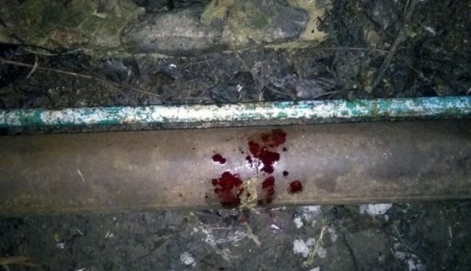 Мужчину ударили по голове во дворе. Фото: ГУНП