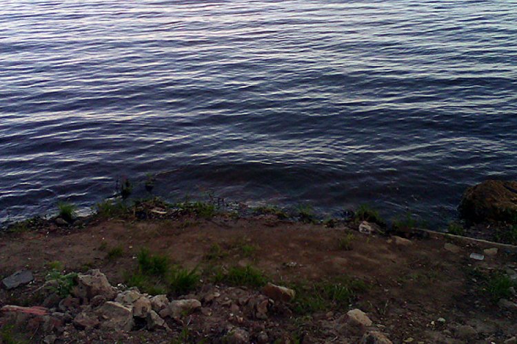 Какое из этих тел утонет. Ключевское озеро Вольский район. Озера в Вольском районе.