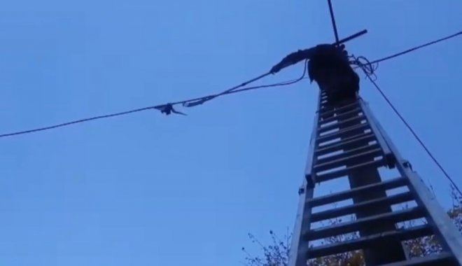 Кадр из видео