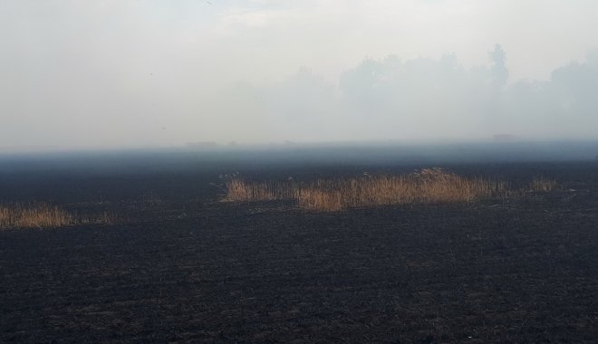 Фото: ГСЧС