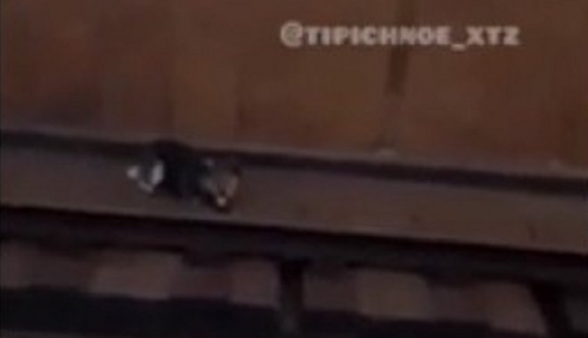 Скриншот из видео сообщества "Типичное ХТЗ"