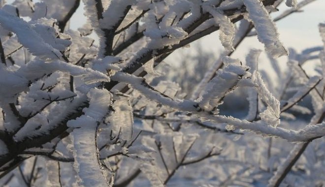 Фото: Ryb.ru
