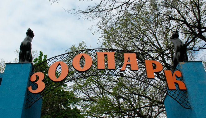 Фото: Город Х