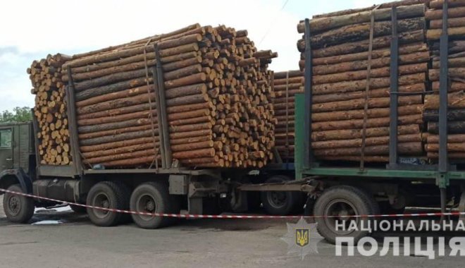 Фото: ГУНПУ