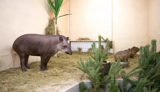 Фото: feldman-ecopark.com
