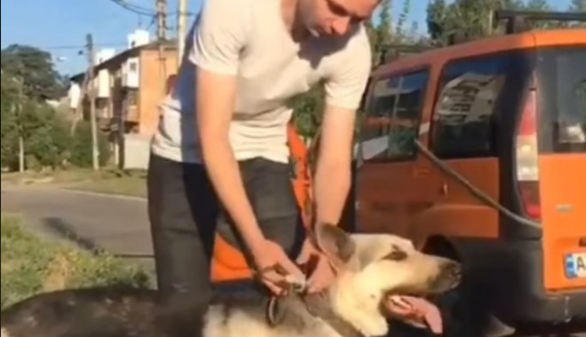 Кадр из видео