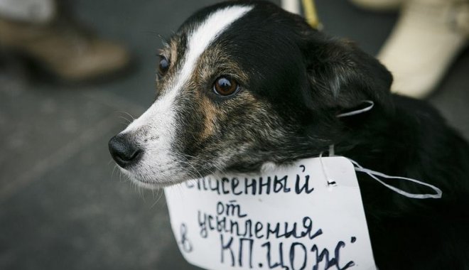 Фото: Facebook Ветрова Лана