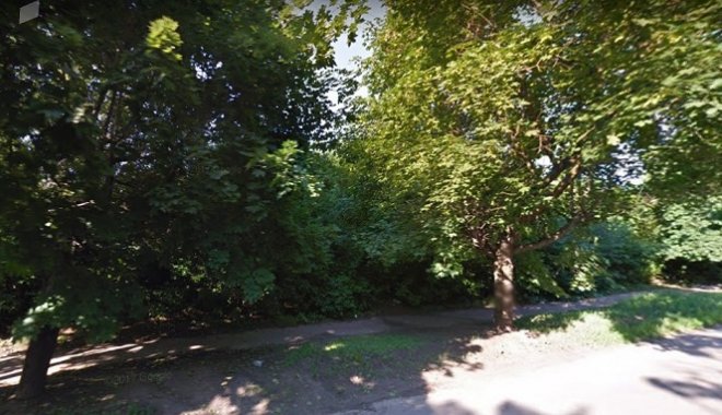 Лесополоса по улице Мира. Скриншот Google Maps