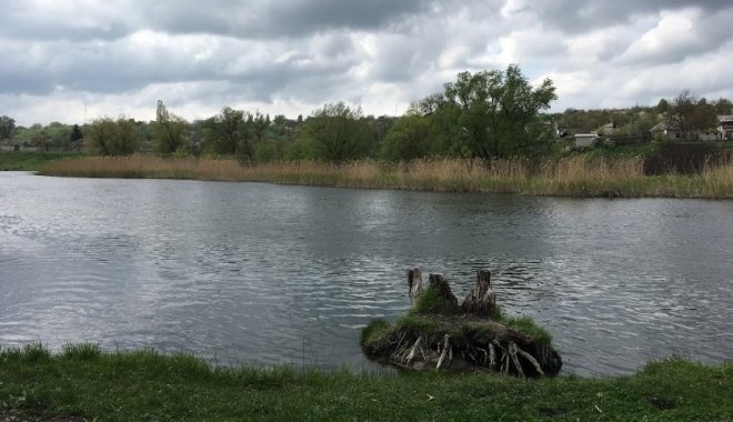 Река Северский Донец. Фото: Google