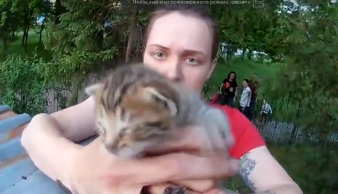 Скриншот из видео Службы спасения животных