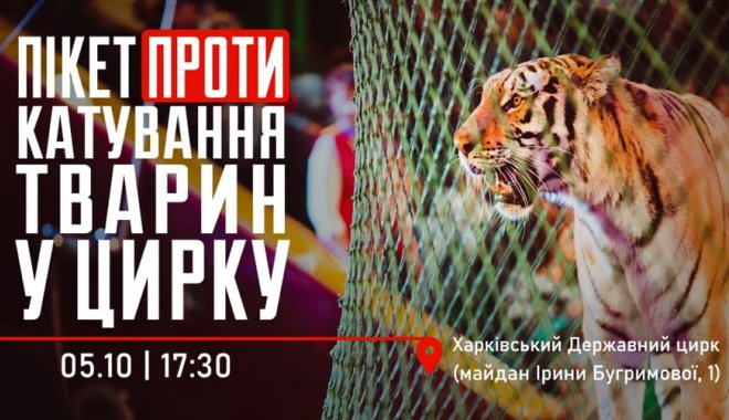 Фото: Facebook Константин Немичев