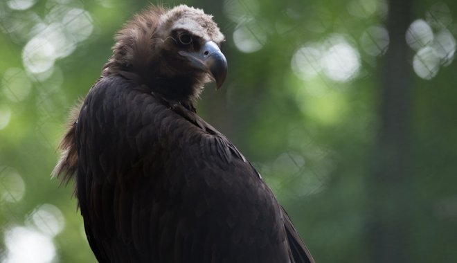 Фото: feldman-ecopark.com