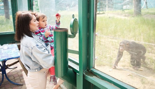 Фото: feldman-ecopark.com