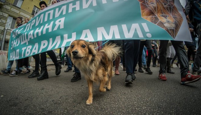 Фото: Телеканал 24