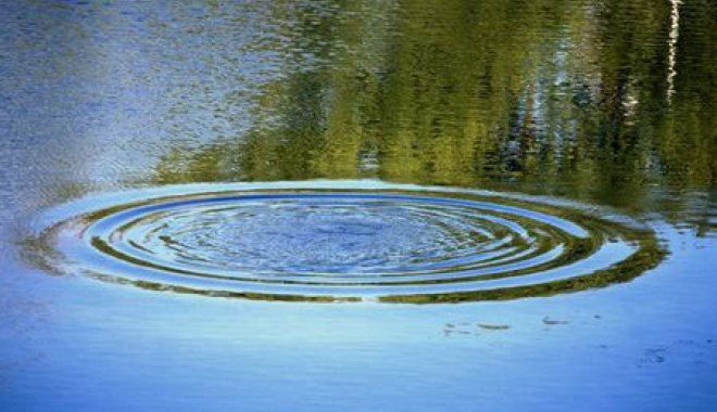 Фото: Chastnik.ru