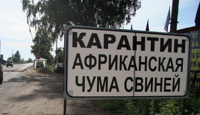 В районе объявлен карантин. Фото: portal.ochakiv.info