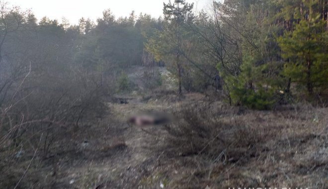 Фото: ГУНП в Харьковской области