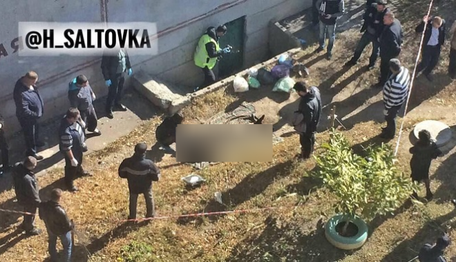 Фото: соцсети