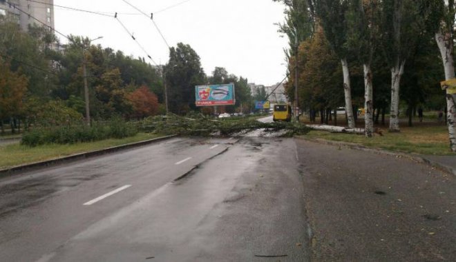 Вырубка деревьев. Фото: news.mspravka.info