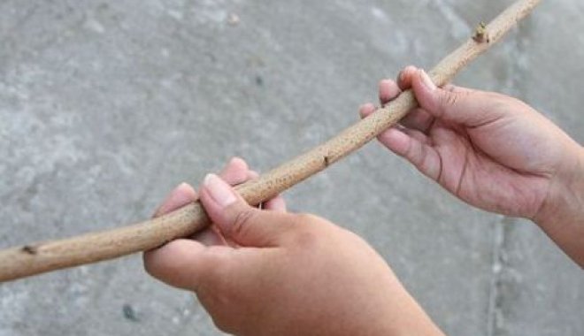 Фото: mfsterrl.blogspot.com