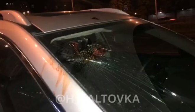Фото: Скриншот из видео