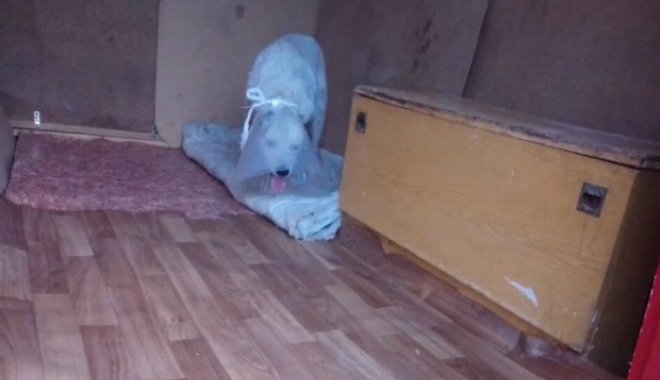 Кадр из видео