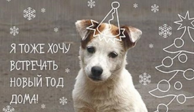 Фото: animals.kharkov.ua