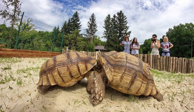Фото: Фельдман Экопарк