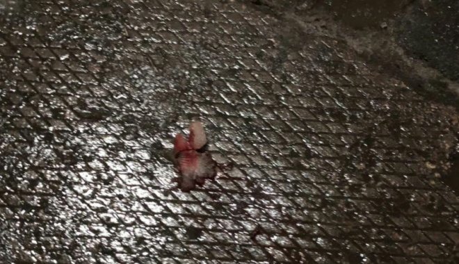 Фото: ГУ Нацполиции в Харьковской области