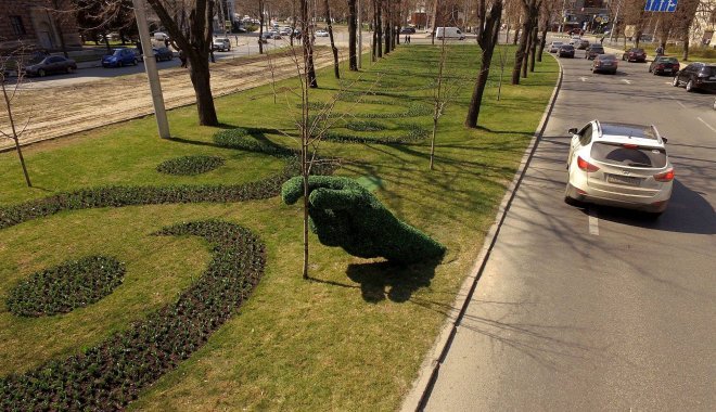 Фото: А.Гребенюк
