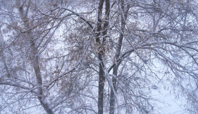 Снеги Лозовой. Фото: П.Коваленко-Капелевич