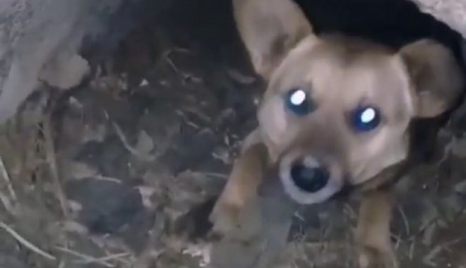 Фото: Кадр из видео