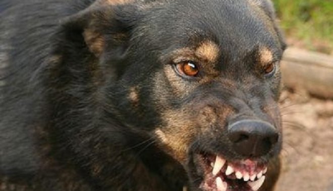 Фото: ATMHunt.ru