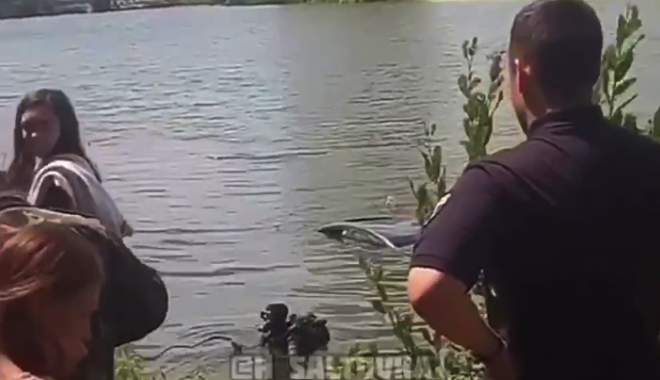 Кадр из видео