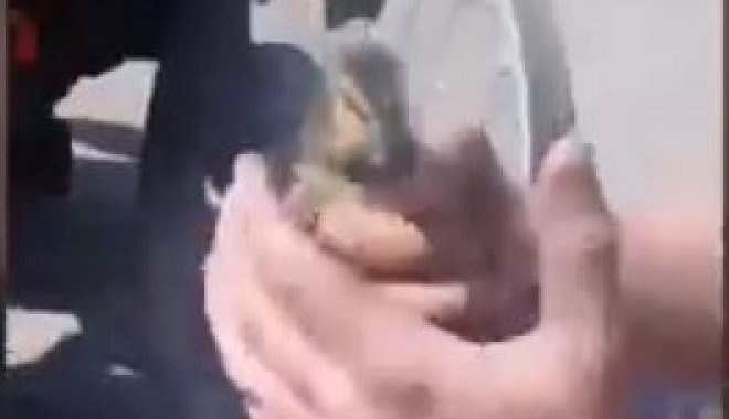 Кадр из видео