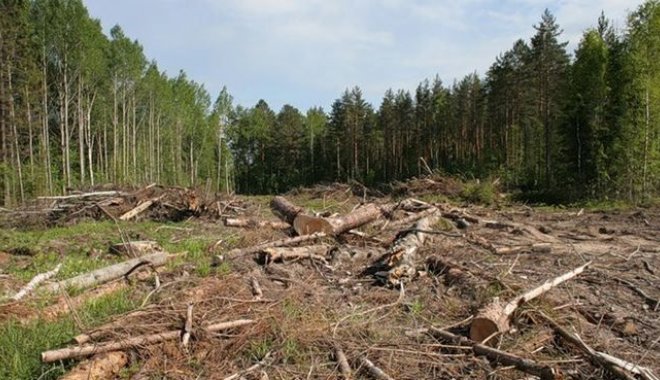 Фото: Новости Винницы