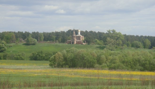 Мужчину нашли в поле. Фото: roszem.info