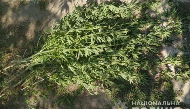 Фото: ГУ Нацполиции в Харьковской области