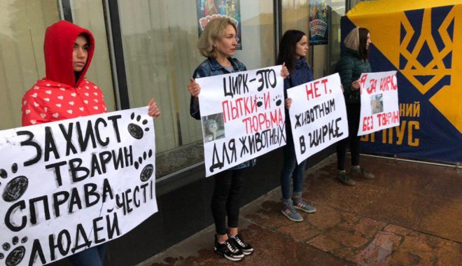 Фото: Национальный корпус