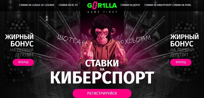 bukmekerskaya-kontora-gorilla.jpg